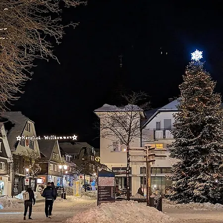 Citylight Daire Winterberg